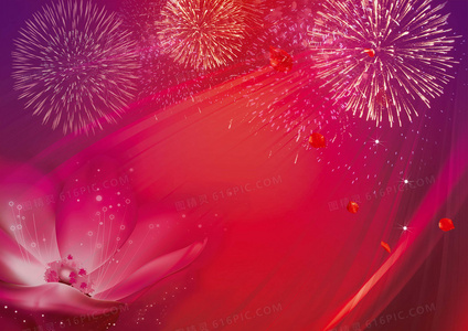 吸猫+嗦面双倍快乐！拉面赤猫全集完整版治愈上线