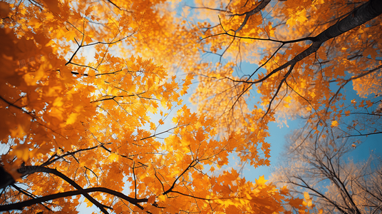 来都来了哥：当代年轻人的“来都来了”式生存哲学