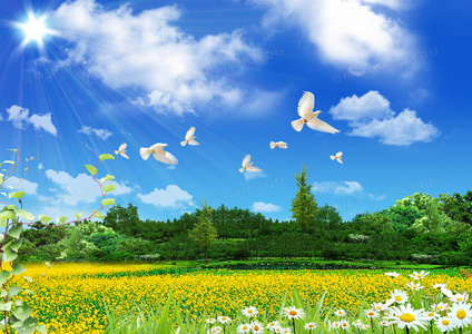 每集一经典：斗娜与元峻那些让人心跳加速的同居时刻