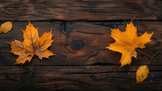 在崩坏的城市中疾驰:变异狂奔的环境叙事艺术