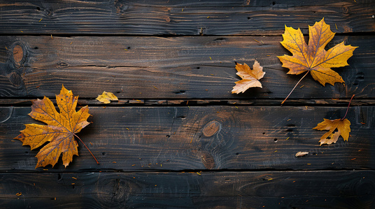 终局序章:圣城审判与莫凡的抉择