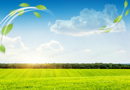 从自卑到绽放：青春灰姑娘中女主角的成长启示录