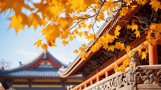 火候、刀工、心意:厨王争霸中的三重境界