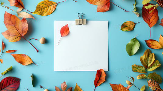 跨越边界的旅程:冥王星早餐中主角的性别认同与社会接纳