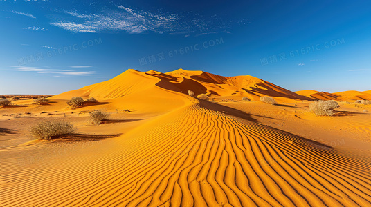 小二美剧独家解析：热门美剧背后的文化密码