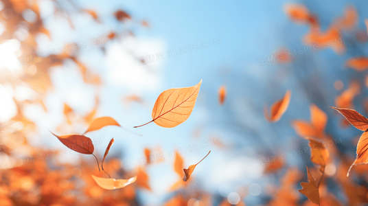 不是不爱,只是累了:给疲惫婚姻的修复路线图